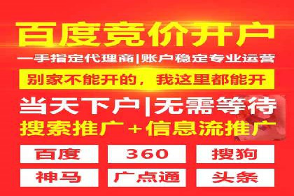 知名SEM公司案例分析：优化策略与成果